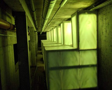 Nieruchomość wspólna oraz jej części – cz. 2.